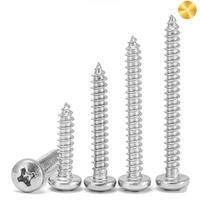 Sekrup Self-Tapping Kepala Phillips PT Phillips Head, Baja Anti Karat, Lapisan Seng Oksida Hitam, Grade 4.8/8.8, Pengikat Metrik