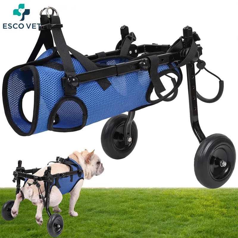 ESCOVET Custom Dog Leg Brace and Hip Support, ayudar a las mascotas pequeñas con extremidades traseras paralizadas mascotas silla de ruedas