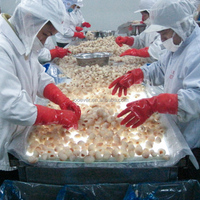 Iqf Bevroren Hele Lychee Gepeld Bevroren Fruit Bulk Verpakte Premium Kwaliteit Voor Culinair Gebruik