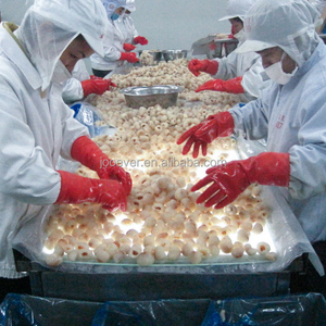 Iqf đông lạnh toàn bộ vải thiều bóc vỏ trái cây đông lạnh đóng gói số lượng lớn chất lượng cao cấp cho sử dụng ẩm thực - Product Image 6