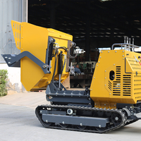 Direkt ab Werk: 1000kg Mini-Raupenlader – Chinas effizienter Diesel-Hydraulik-Dumper für den Heimgebrauch mit Motor und Pumpe