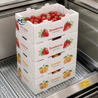 Ventilerende PP golfkartonnen fruit- en groentebak, herbruikbare productencontainer voor landbouw en voedseltransport