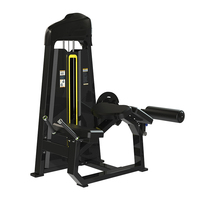 Équipement de fitness professionnel : Banc de musculation à charges guidées pour la poitrine et les bras, et Machine commerciale d'extension et de curl des jambes