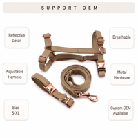 Harnais, collier et laisse pour chien en cuir PU, ensemble 3 pièces, anti-traction, boucle en métal réglable, pour chiens de petite et moyenne taille, accessoires pour promenades