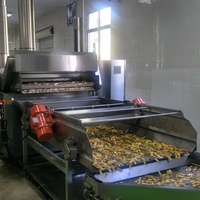 Machine à décanter les puces banane, de couleur noire, pour la fabrication de bananes, levier d'huile vibrant