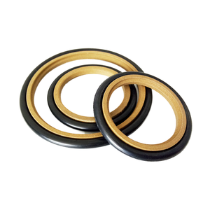 Joint d'étanchéité pour cylindre hydraulique en plastique de haute qualité, résistant à l'usure, hydrophile, résistant aux hautes températures, PTFE Ceimin Modèle 111 - Product Image 1