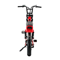 Vélo électrique de chasse 48V, 750W, 20 pouces, pneus larges