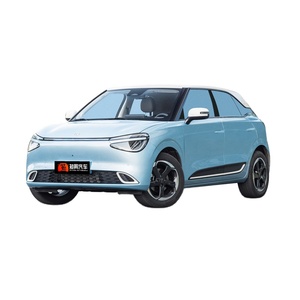 Dongfend Donfeng Dongfeng Nammi 01 EV Auto Eléctrico Nano Nami 01 Económico Pequeño Inteligente <span class=keywords><strong>Mini</strong></span> Hatchback de 5 Puertas y 5 Plazas Totalmente Eléctrico - Product Image 1
