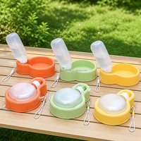 Bouteille d'eau pliable en forme de ballon pour animaux de compagnie, distributeur d'eau de voyage pour chats et chiens