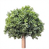 Arbre topiaire artificiel de 23 pouces en pot, faux buis, pour la décoration de la maison, du jardin et du patio