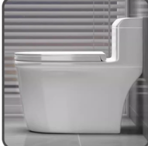 WC เซรามิกแบบสองด้านสำหรับห้องน้ำอุปกรณ์ห้องน้ำสีแบบปรับแต่งได้ - Product Image 1