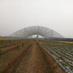 Large Plastic <strong>Poly</strong> Film Agriculture Greenhouse Low <strong>Cost</strong> High <strong>Tunnel</strong> for Growing Vegetables Hydroponic Agriculture Greenhouse - Product Image 4