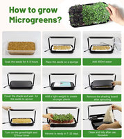 Sistem Penanaman Hidroponik Dalam Ruangan untuk Microgreen, Biji Microgreen, Tunas, Kit Kebun Sayuran, Penanam Pintar