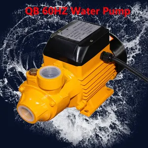 Pompe à eau propre Vortex de surface électrique, Pompe à eau pour la maison, vente en gros, périphérique, modèles QB60, QB70, QB 80, 1, 2HP