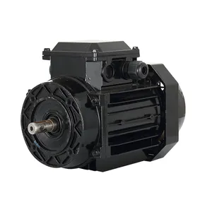 B14 48v Ac Motor Inverter Three Phase 1400rpm Three Phase Asynchronous Ac Motor