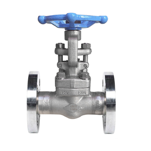 Vanne à opercule manuelle DN150 6 pouces ANSI Classe 300 à tige montante en acier forgé avec commande par flange - Product Image 3