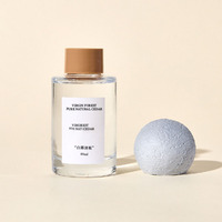 Bouteille de diffuseur d'arôme 80ML, bouteille de diffusion en verre transparent avec bouchon étoile en gypse