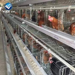 Cages à poulets et à canards fabriquées en Chine comme équipement agricole / <span class=keywords><strong>Cage</strong></span> d'élevage de poulets galvanisée ou revêtue de PVC pour ferme Fabriquée en Chine - Product Image 3