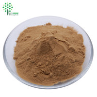 Extrait de champignon champignon Antrodia Camphorata extrait polysaccharide 30% poudre