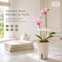 Kit de Jardinage Orchidée en Boîte Cadeau avec Anneau Lumineux de Croissance et Arrosage Automatique, Recharge USB, Design Moderne, Pour Usage Domestique, Prêt pour la Vente de Noël