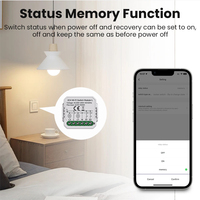 Módulo de Interruptor Inteligente WiFi, Sin Necesidad de Cable Neutro, Relé de Interruptor de 2, 3 y 4 Canales, Neutro Opcional, Compatible con Alexa y Hey Google, 240V 10A