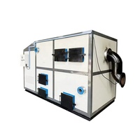 Chaudière à eau chaude horizontale à biomasse/bois/charbon de 0,35 MW, 300 000 KCal, entièrement automatique pour usage industriel