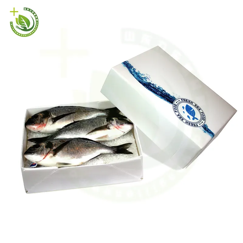 Caja de pescado embalaje de plástico embalaje congelado mariscos frescos ploytherene PP envío hueco PP transporte seco grande para caja de pescado