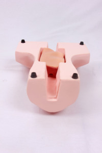 Darhmmy tiên tiến cricothyroid thủng và khí quản đặt nội khí quản manikin khoa học y tế đào tạo mô hình - Product Image 5