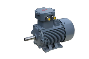 Motor eléctrico de alto par trifásico asíncrono 22KW 30HP AC Motor eléctrico de inducción trifásico - Product Image 6