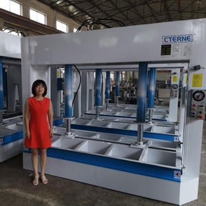 Ván ép máy ép lạnh cho chế biến gỗ với máy ép ép và công nghệ keo lạnh - Product Image 1