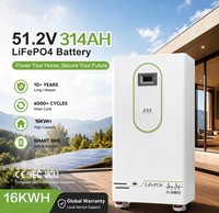 Baterai Penyimpanan Energi Surya LiFePO4 51.2V 100Ah 230Ah 314Ah Dengan Kontrol Jarak Jauh Aplikasi BMS Pintar Paket Daya Lithium Iron Phosphate