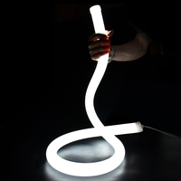 Tube lumineux LED en silicone rond flexible coloré de nouvelle conception R33mm personnalisé DC12v/24v avec bandes LED RGB SMD2835