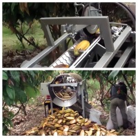 Meilleure vente machine à séparer les dosettes de cacao éplucheur de dosettes de cacao machine à casser les dosettes de cacao