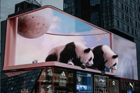 Affichage LED d'extérieur flexible en couleur pleine, écran incurvé P5, SDK, 8000 nits, haute luminosité, étanche IP65, OEM