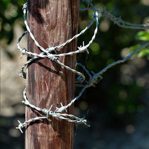 Kawat berduri galvanis pagar pertanian 500M 20Kg Per gulungan kawat Barb pagar gulungan pisau cukur kawat berduri penjualan pabrik - Product Image 5