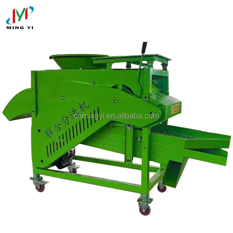 Garlic clove separating sorting machine Agricultural garlic clove machine Garlic dividing sorting processing line