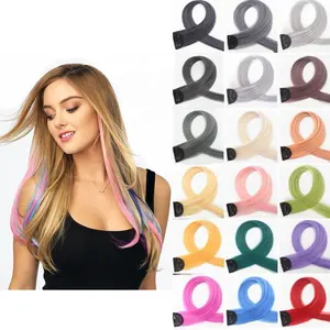 24 Zoll Straight Clip Haar verlängerungen 1 Clip in bunten synthetischen Haar verlängerungen Party Highlights Haarschmuck für Mädchen