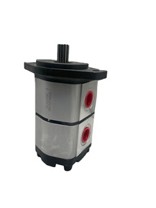 <b>Crane</b> and excavator equipment parts 3319121186 Dual gear pump - Product Image 4