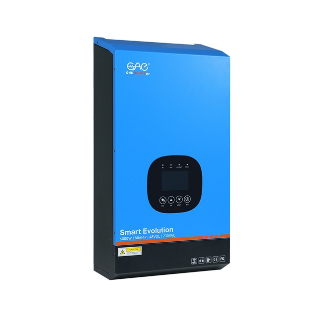 Pure Sine Wave 6000W 48V 230V UPS Power Inverter with Lithium Battery Compatibility
