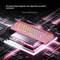 Clavier magnétique filaire HEXGEARS MX68 8000Hz avec interrupteurs magnétiques Kailh, 65 %, cadre à joint, ARGB, à dégagement rapide, pour gaming et bureau