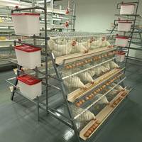 Système de cages en batterie de type A galvanisé à chaud pour l'élevage de poulets pondeurs en grande ferme avicole