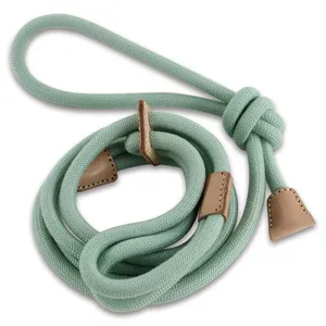 Benutzer definierte Hundes eil Leine und Geschirr Heavy Strong Duty Nylon Haustier Hund Trainings leine Slip Dog Lead Leder leine für das Training