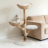 Arbre à chat en bois naturel, design mignon, du sol au plafond, avec griffoir en bois, structure d'escalade pour chat