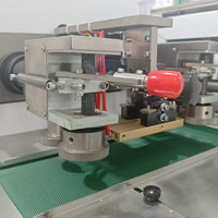 Maßgefertigte Automatische Hochpräzise Horizontale Kissenverpackungsmaschine für Lebensmittel Süßigkeiten Hardware-Anwendungen Versiegelung von Plastiktüten