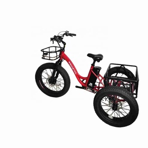 จักรยานสามล้อไฟฟ้า 48V1000W สำหรับผู้ใหญ่ - Product Image 1
