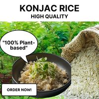 Alternative au riz sans glucides, riz de konjac shirataki biologique USDA de qualité supérieure, sans gluten, sec, adapté au régime paleo et keto, riz instantané