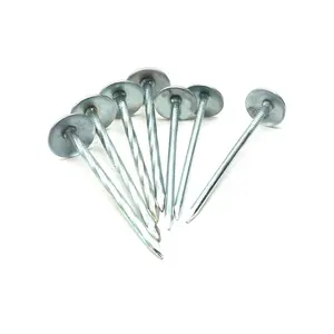 Factory Price High Quality Galvanized Umbrella Head Smooth Shank Or Twisted Roofing Nails For Building Construction BEG9*2.5