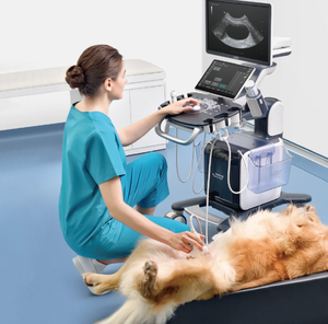 Mingray Vetus 50 spesialis mesin Ultrasound, sistem diagnostik Ultrasound untuk hewan - Product Image 5