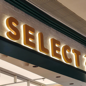 Lettres encastrées murales personnalisées en acier inoxydable chromé brossé écologique avec bandes LED acryliques rétroéclairées pour la publicité - Product Image 5