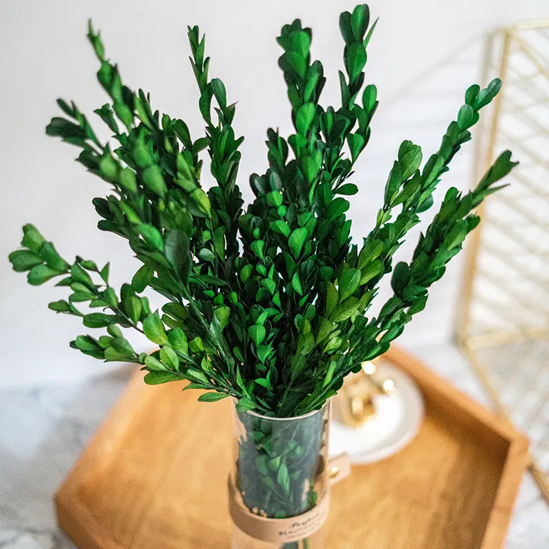 Echte Verse Lange Stengel Bloemen Bewaarde Groene Stem Voor Rozen Doos Glazen Koepel